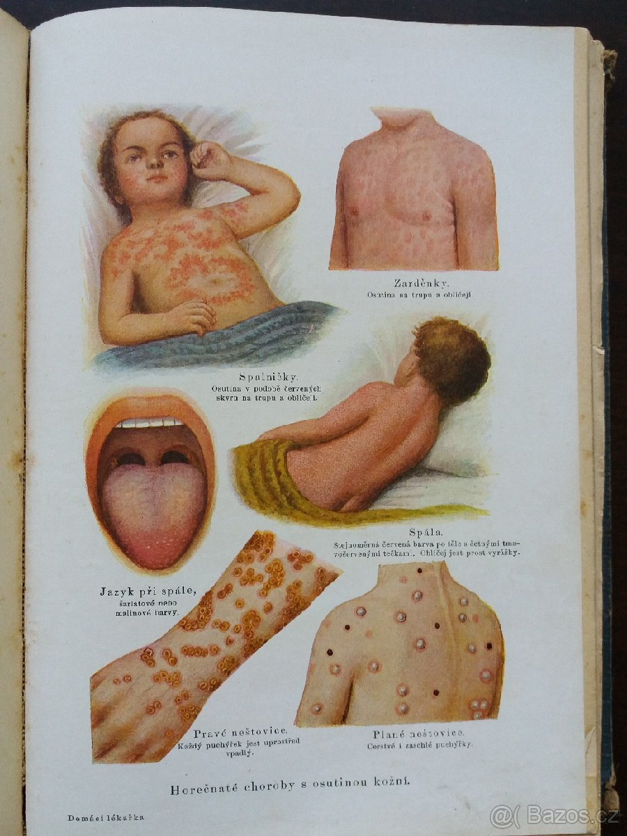 Kniha : Domácí lékařka. - 7