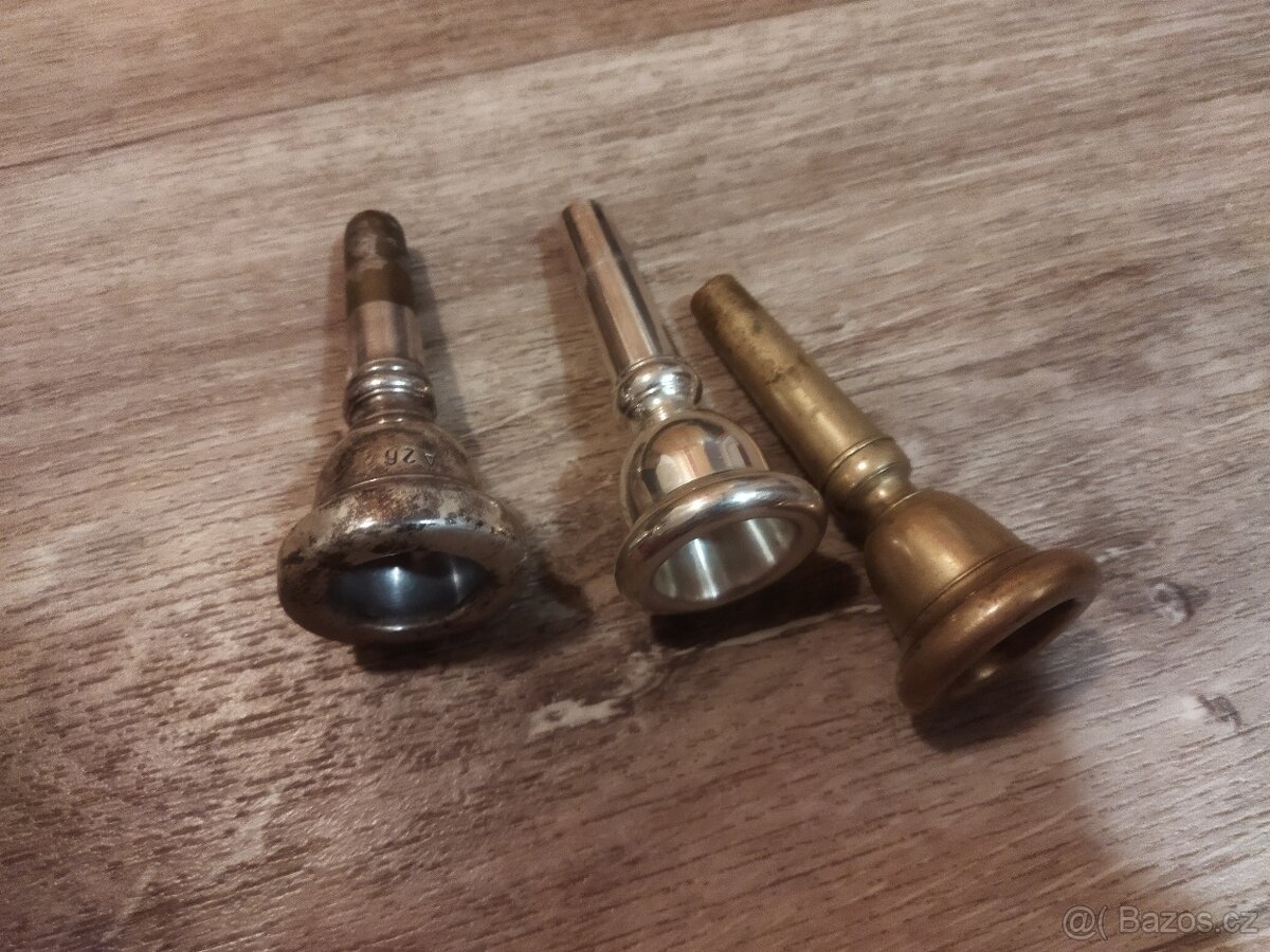 Baskřídlovka - tenor - 7