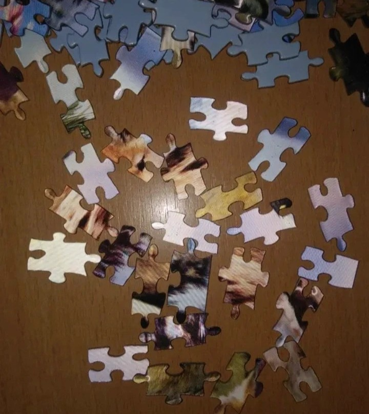 Puzzle - Vlčí rodina s 3D efektem - 7