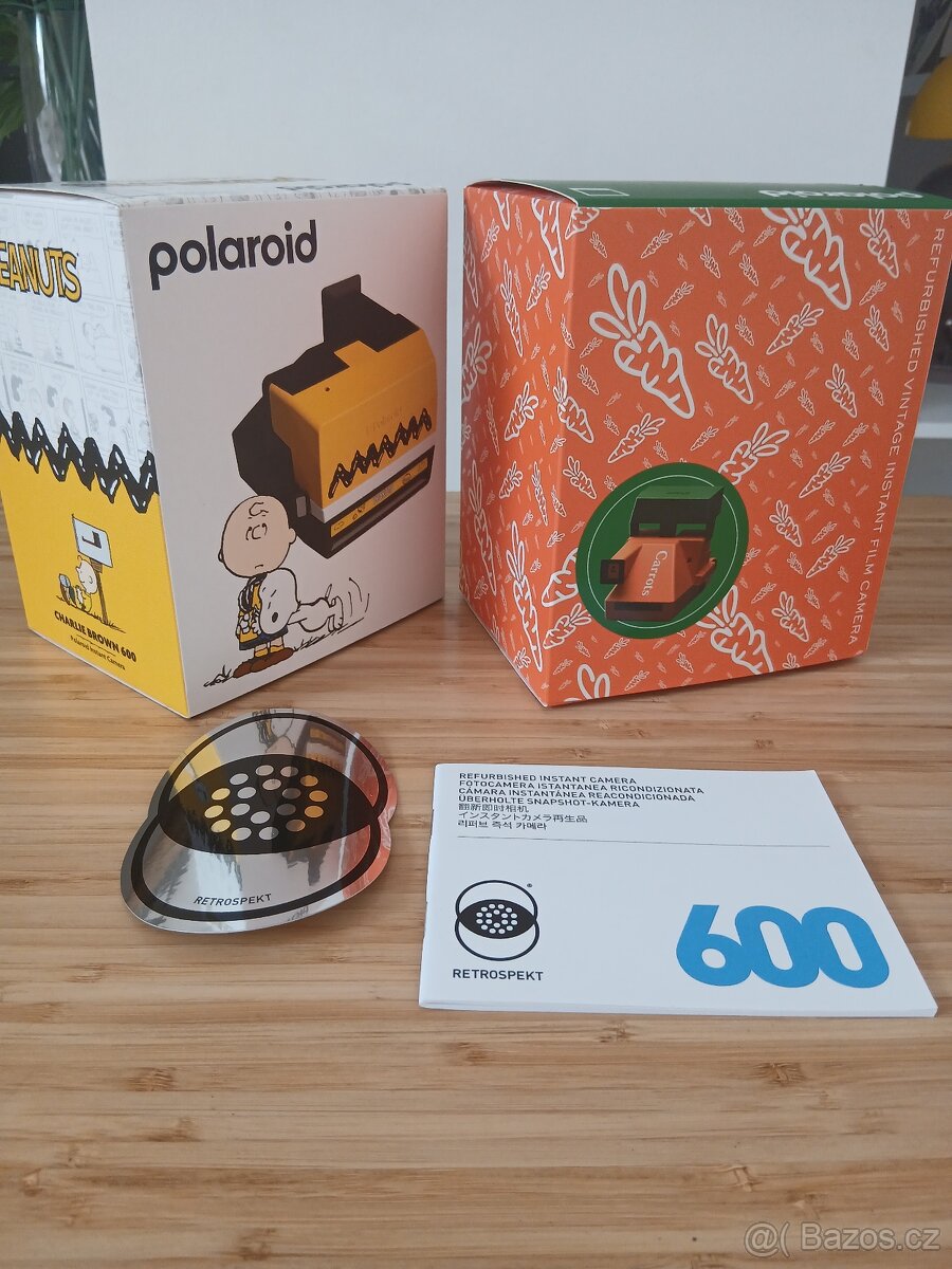 Polaroid 600 retrospekt - 7