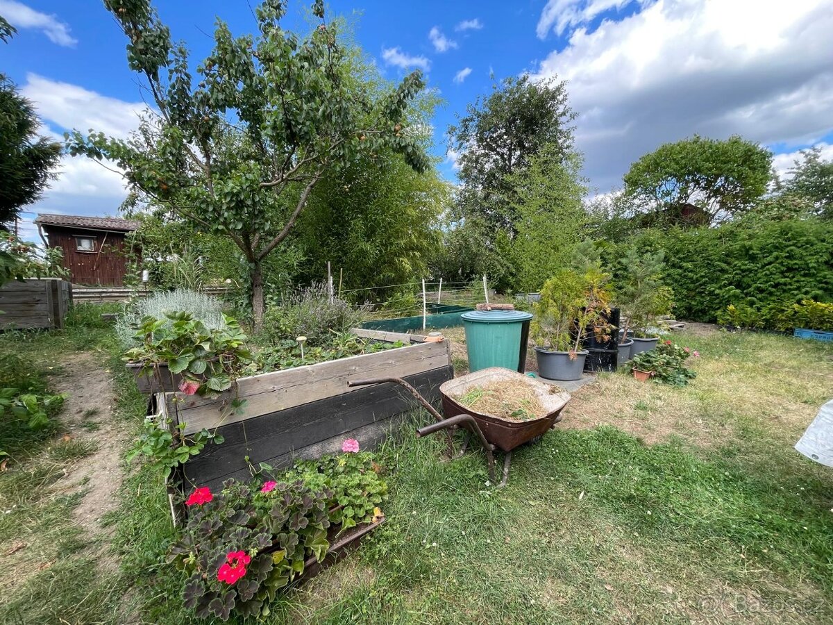 Zahrada ke stavbě chaty k rekreaci,700m2,Plzeň,Pod Švabinami - 7