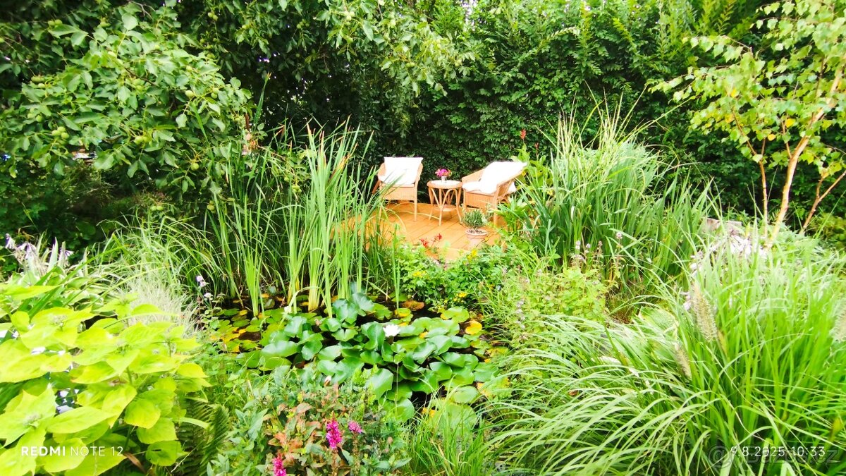 Prodej chaty se zahradou - 7