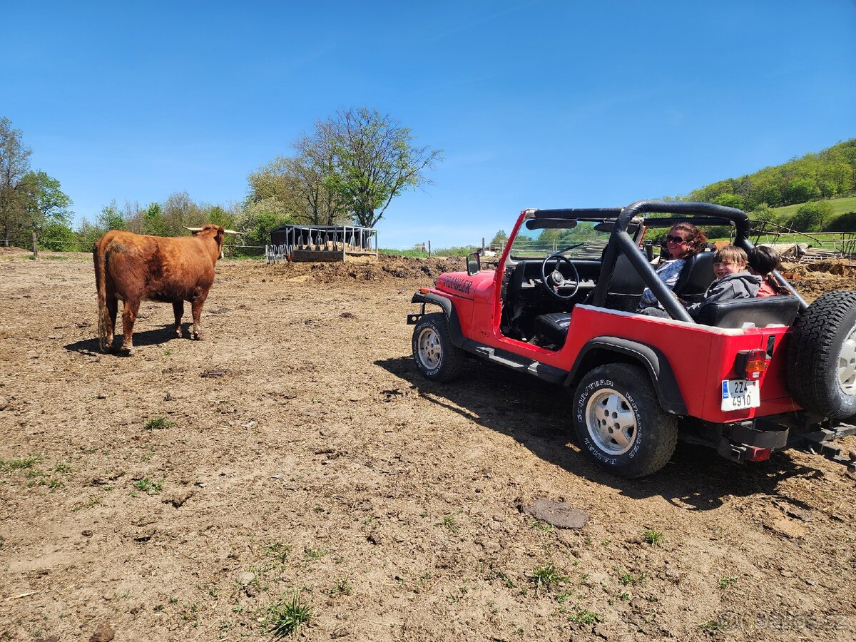 Jeep Wrangler - 7