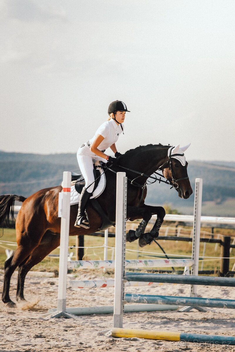 Boxové ustájení Kočvary - 7