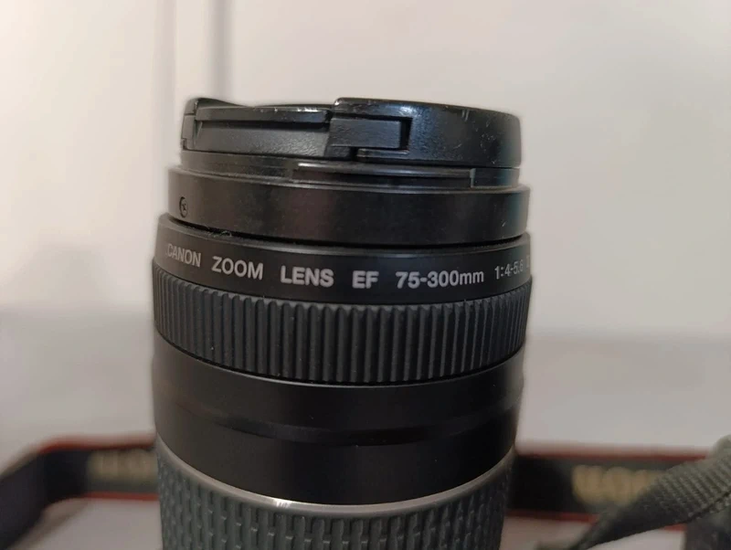 Canon EOS 2000D + EF-S 75-300mm - 7