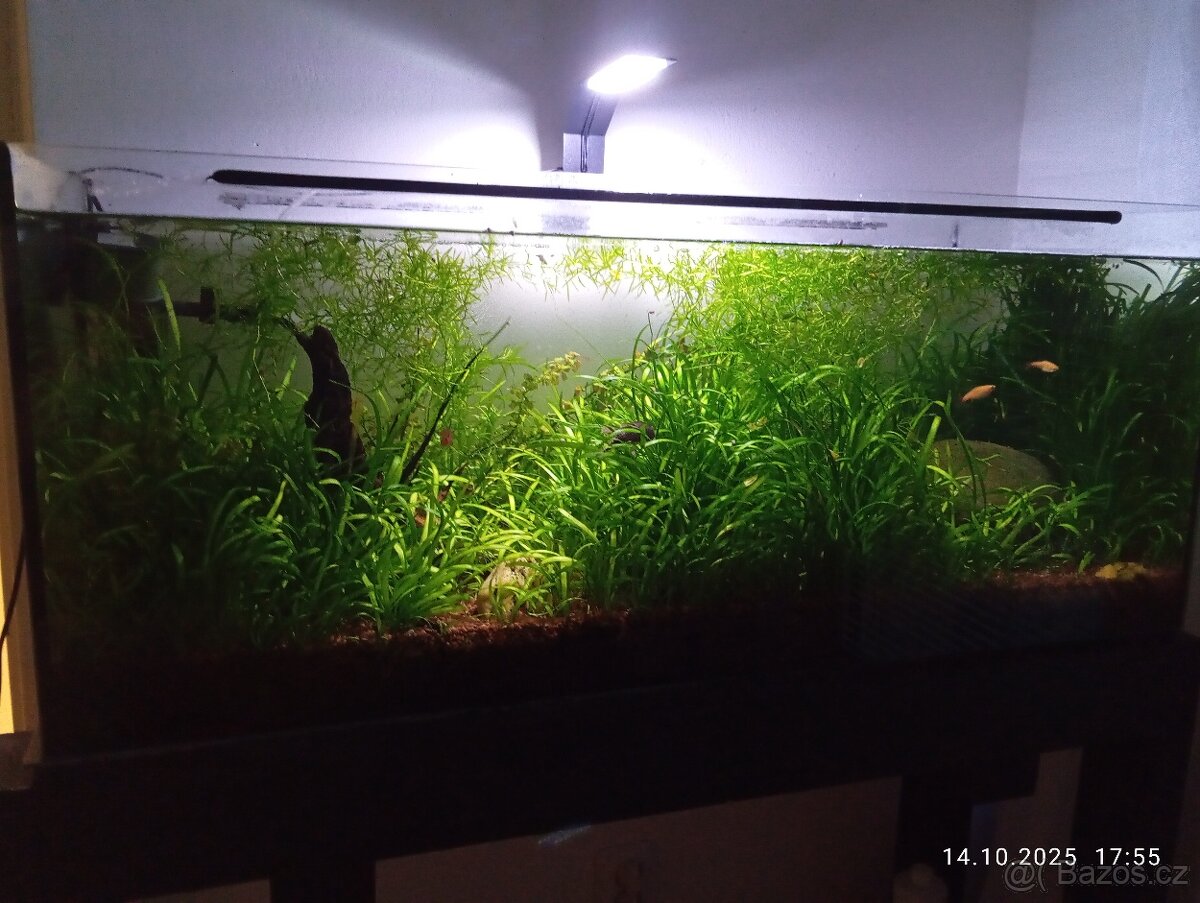 Prodám akvárium 160 l - 7