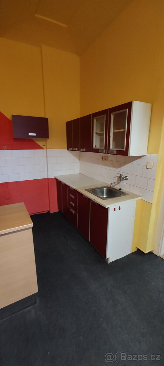 KUCHYŇSKÁ LINKA - S DŘEZEM BAROVÝM PULTEM - 7