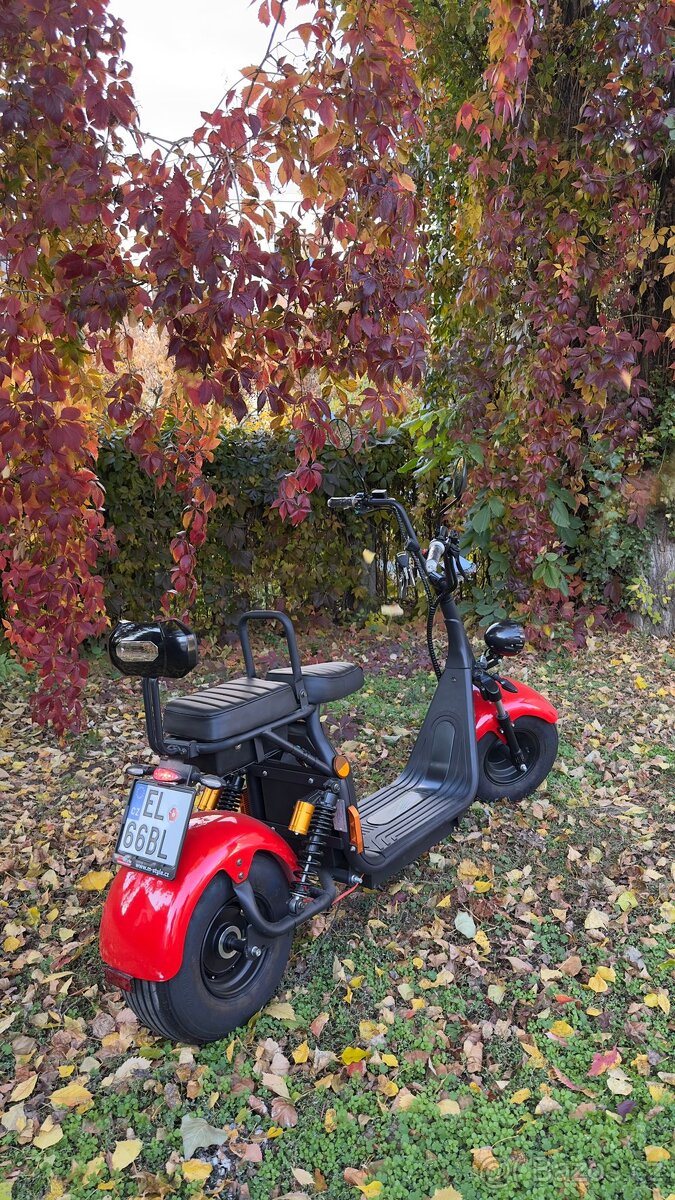 Elektrický chopper GAEA - 7