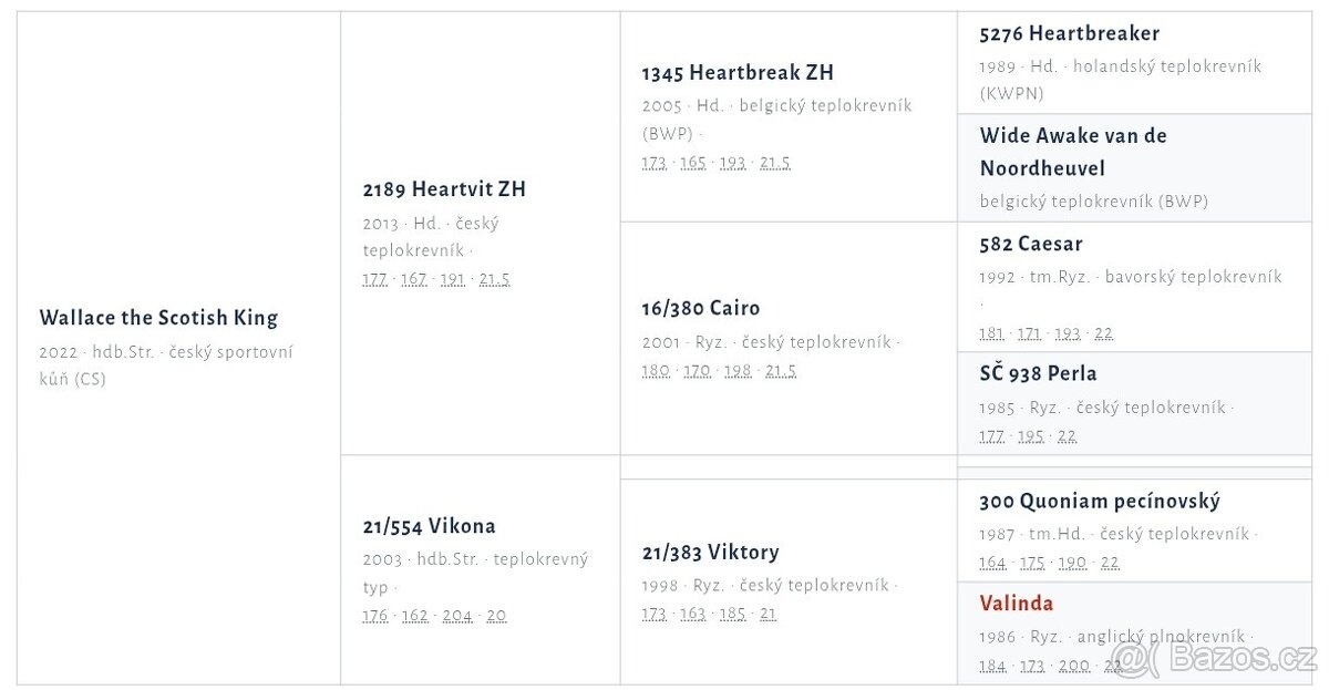 Tříletý valach CS po Heartvit ZH - 7
