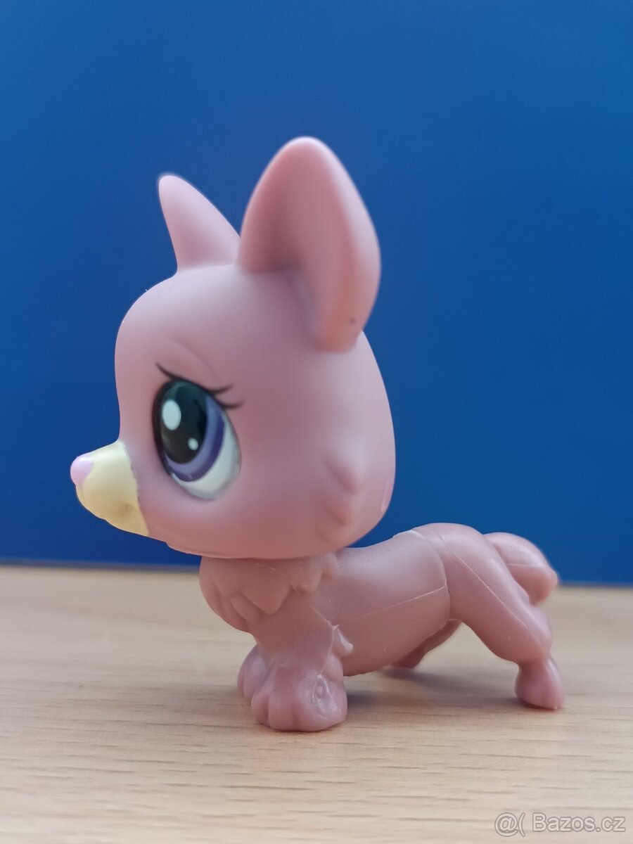 ☘️ LPS pejsek Corgi + růžová kočička + brýle ☘️ - 7