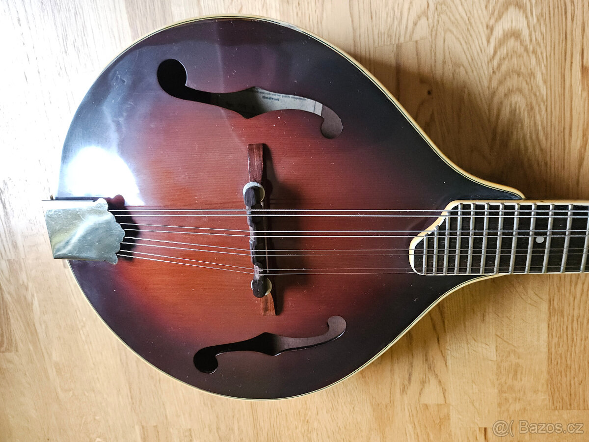 Celomasivní česká mandolína FURCH - 7