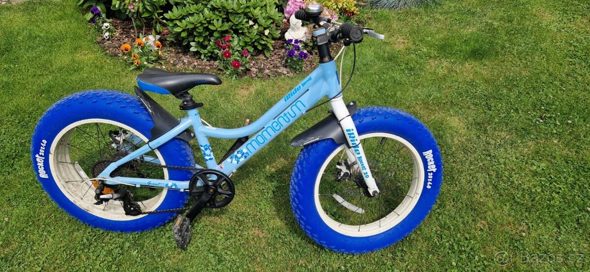 Fatbike Giant - 7