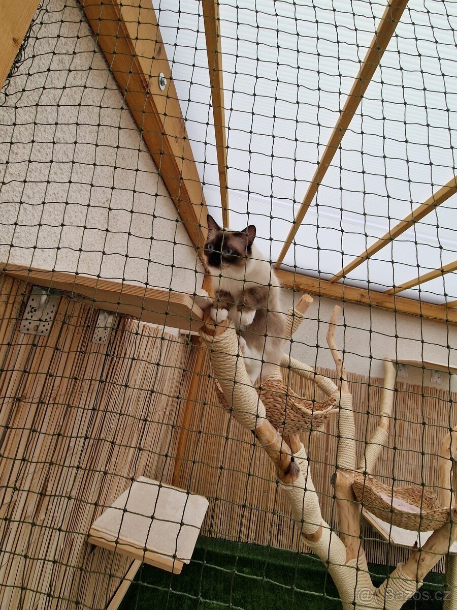 Kočičí stromy, kočičí voliéry a předokenní kočičí voliéry - 7