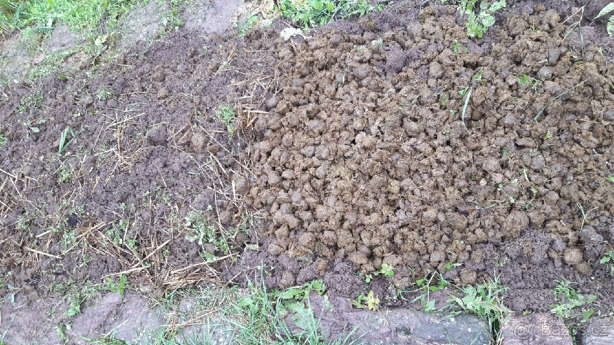 Kvalitní koňský hnůj - 7