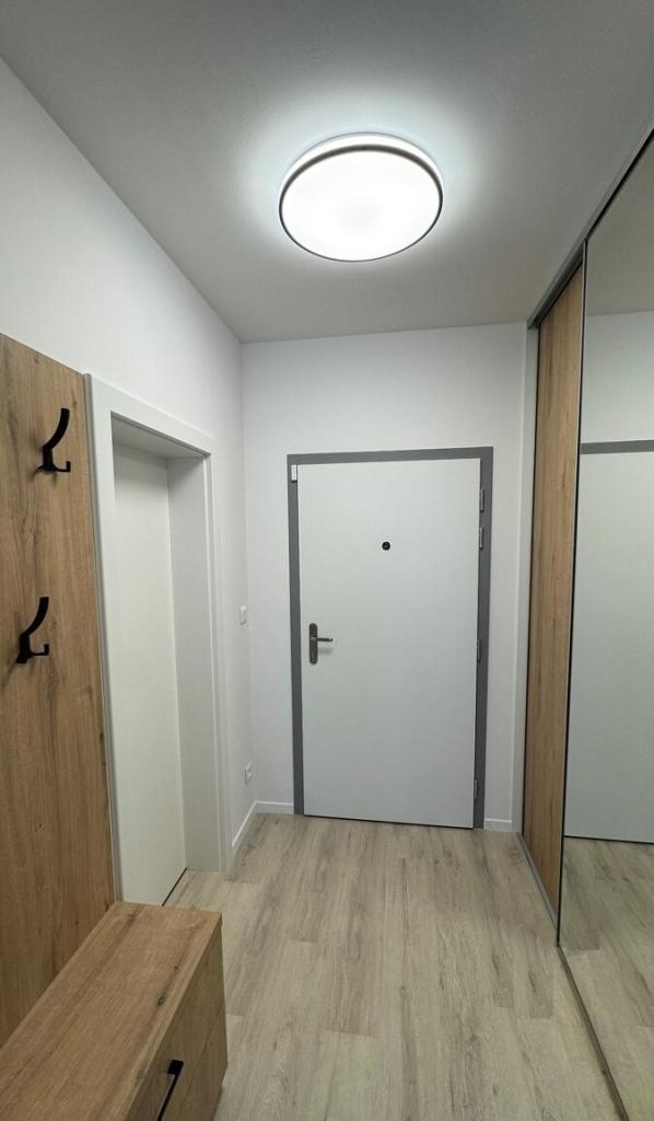 Pronájem bytu 1+1 v Praha, Ječná ulice - 7