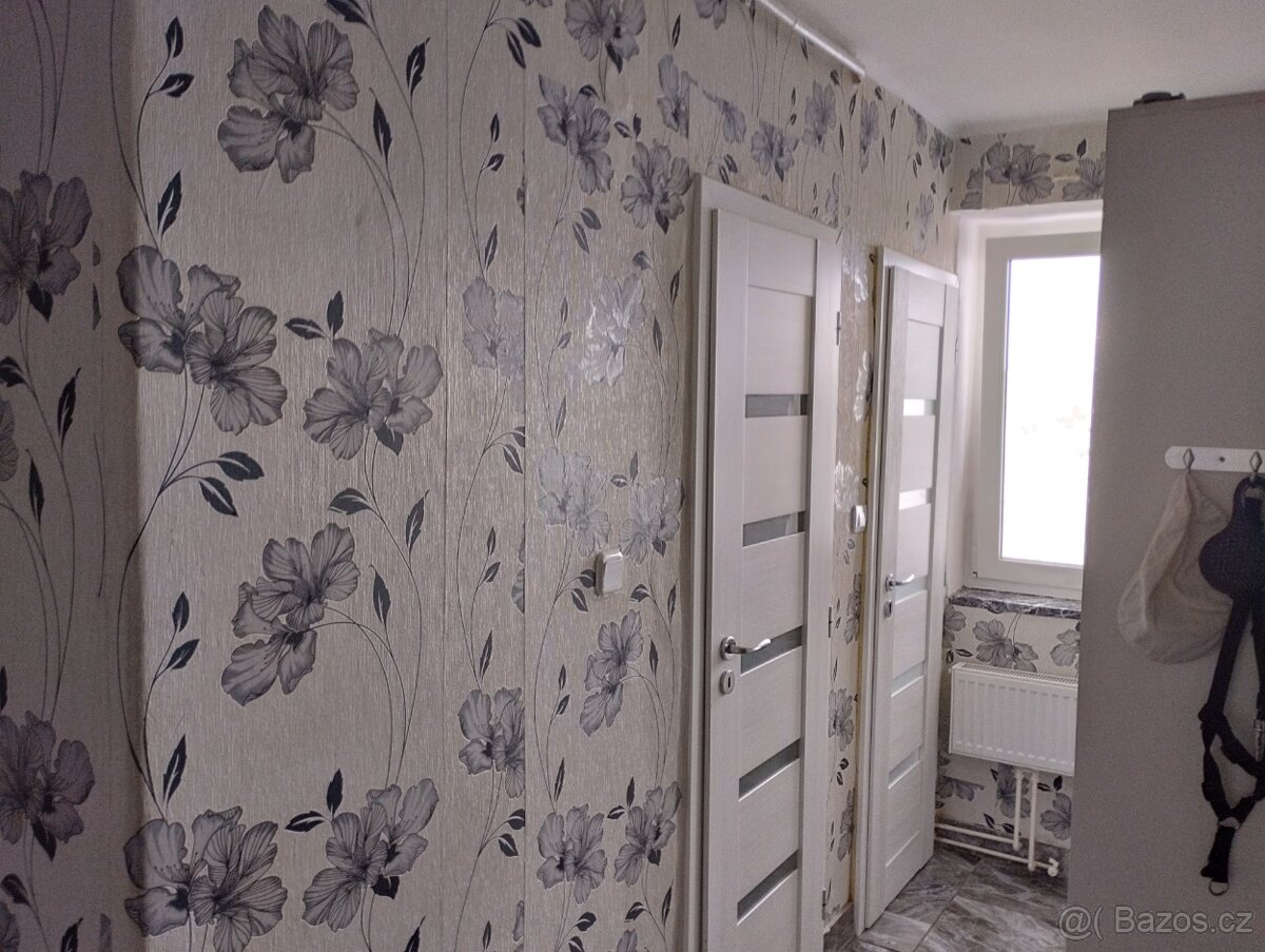 Výměnným být 2+1 za 3+1 jen v osobním vlastnictví. - 7