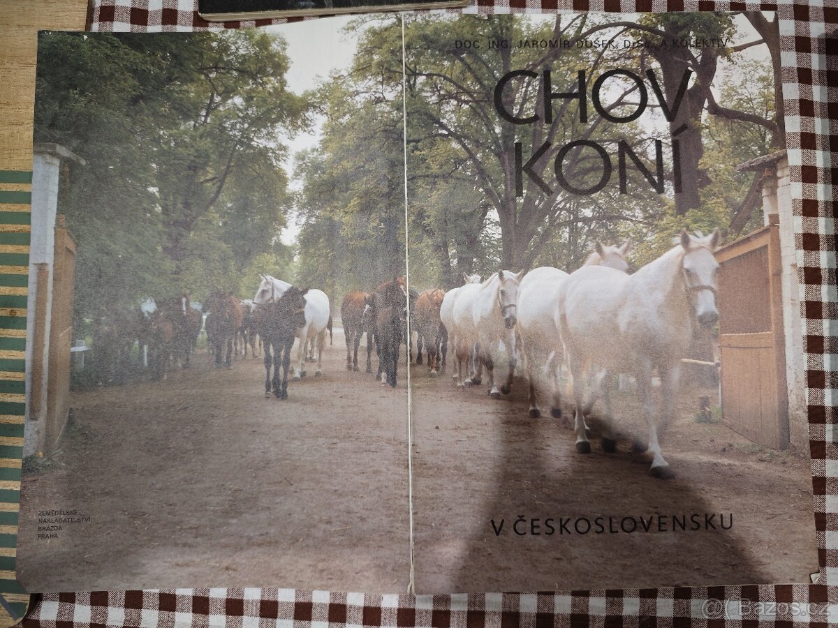 Knihy o koních - 7