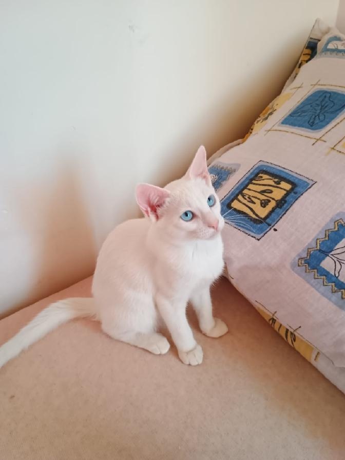 Předu, pletu, háčkuju - 7