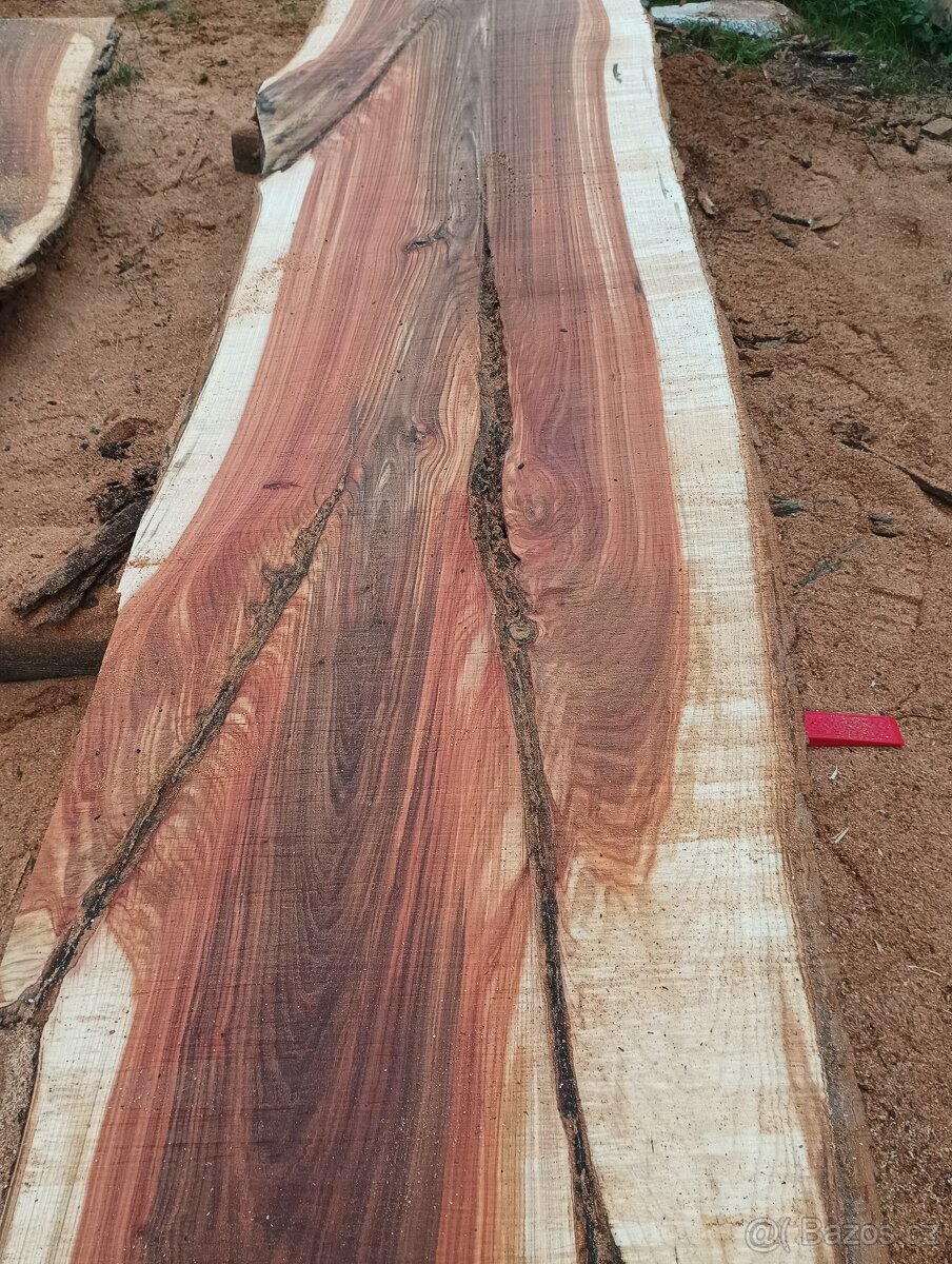 Fošny z červeného Jilmu - 7