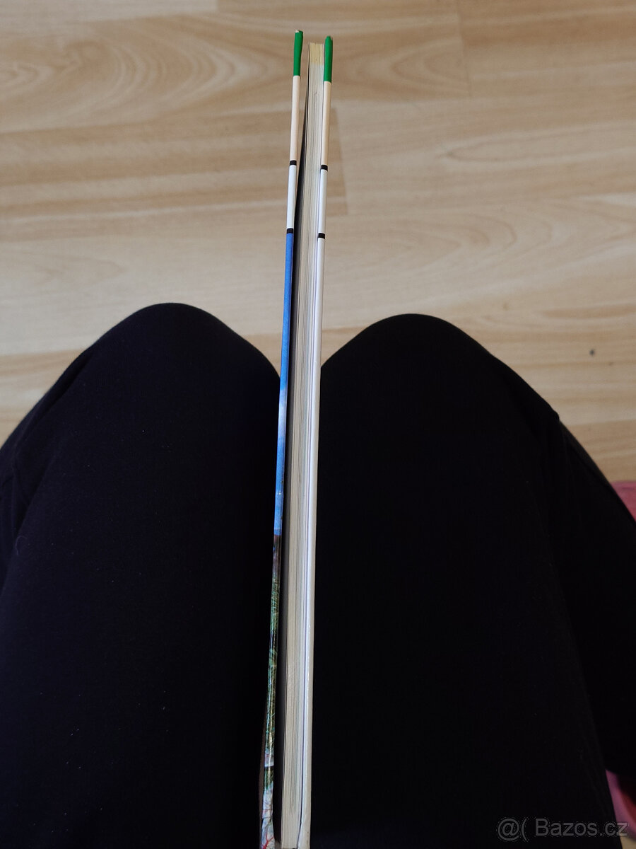 Dinosauři - první dětská knihovna - 7