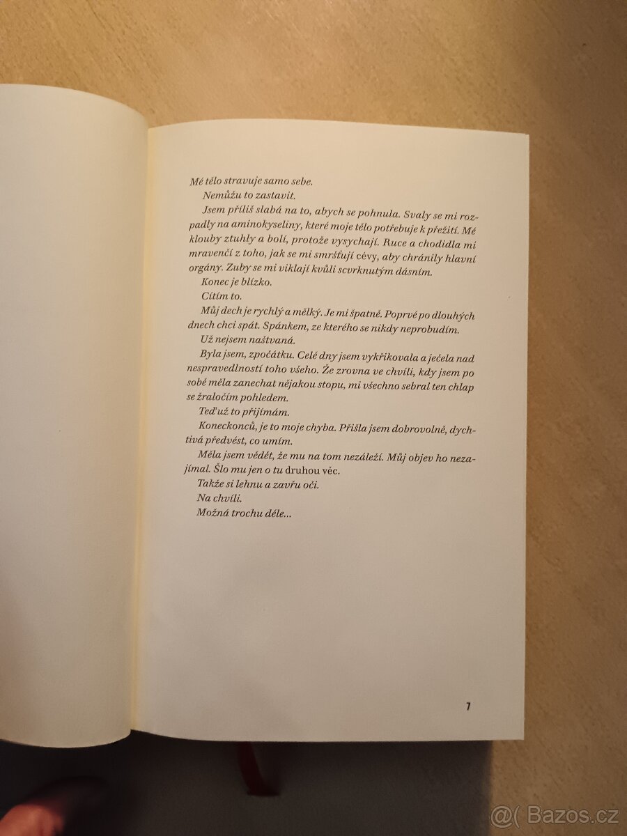 Černé léto - M. W. Craven - 7