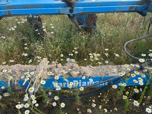 Pluh Lemken - 7