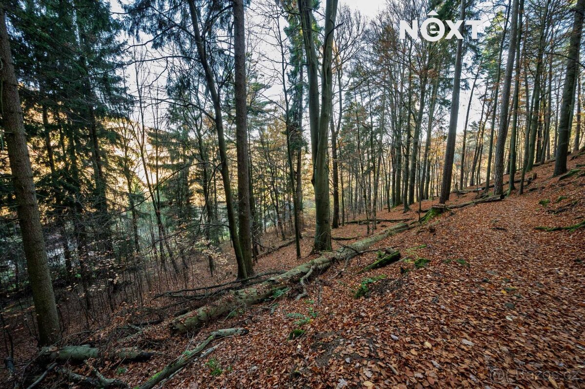 Prodej pozemek Bydlení, 3487㎡ - 7