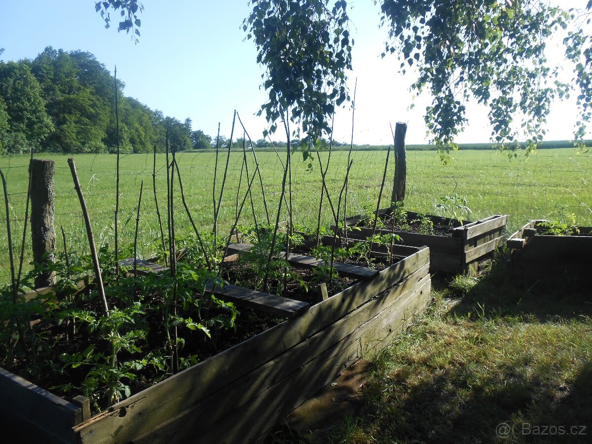 Zahrada/pozemek na Broumovsku - 7