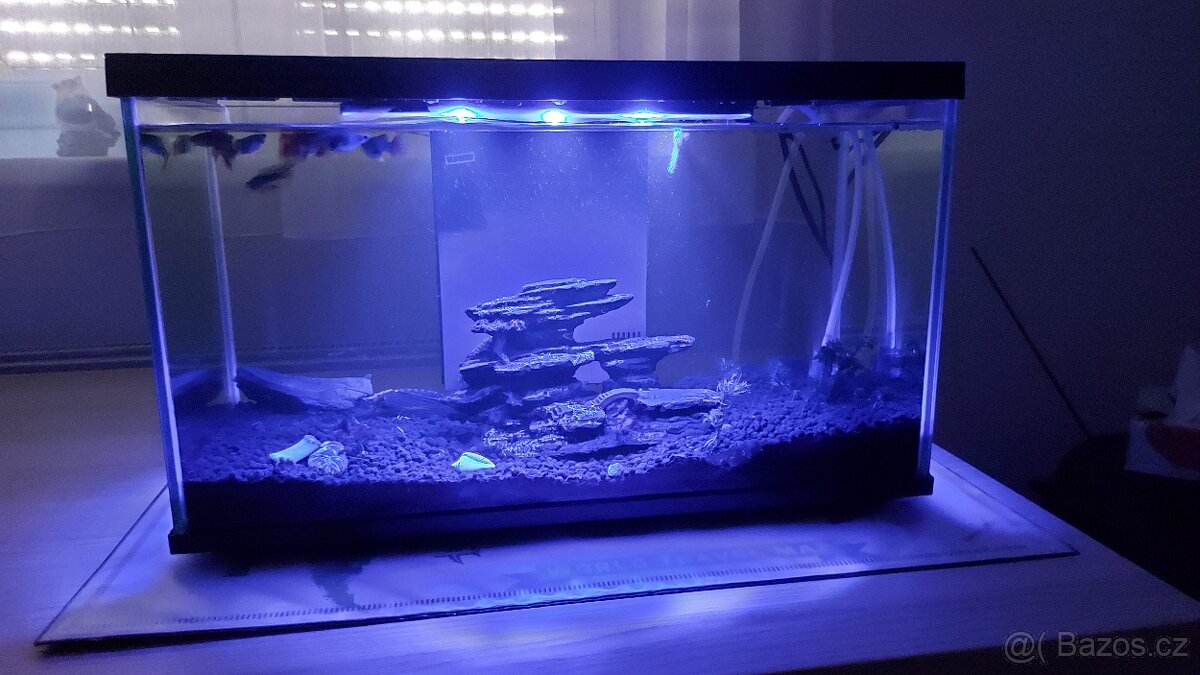 Akvarium s rybami - 7