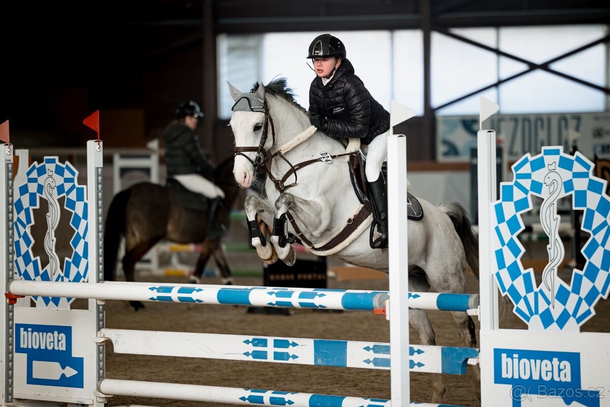 Nádherný pony valach - 7