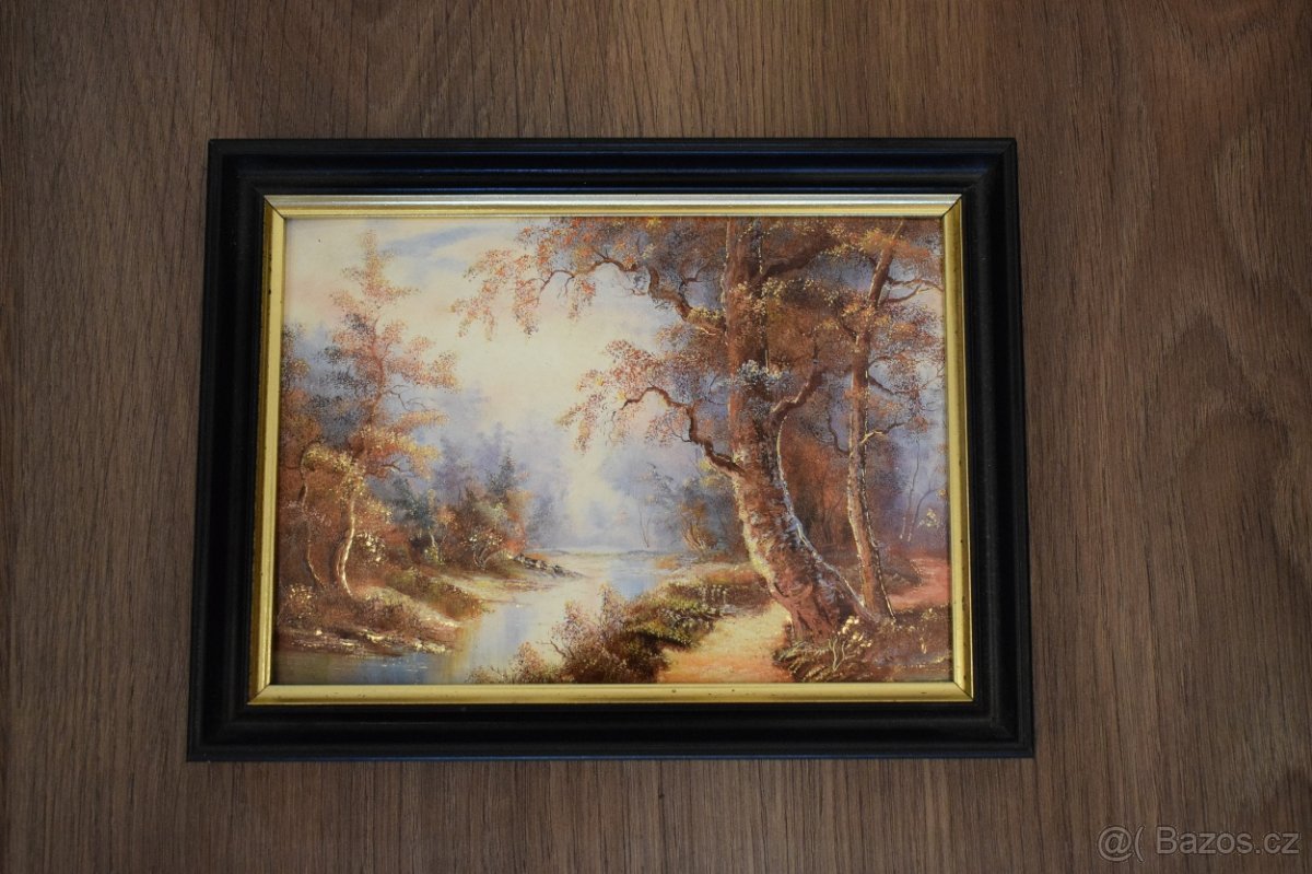 Různé starší obrazy+ obrázky - 7