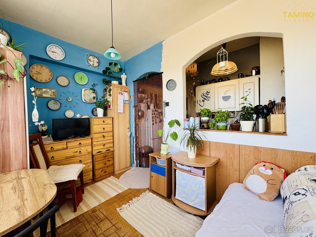 Prodej bytu 2+kk 35 m², Třebíč - Borovina, ev.č. 00063 - 7