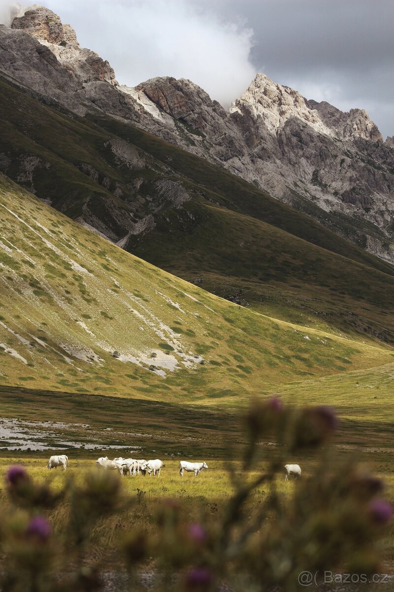 Canon zrcadlovka 2000d - 7