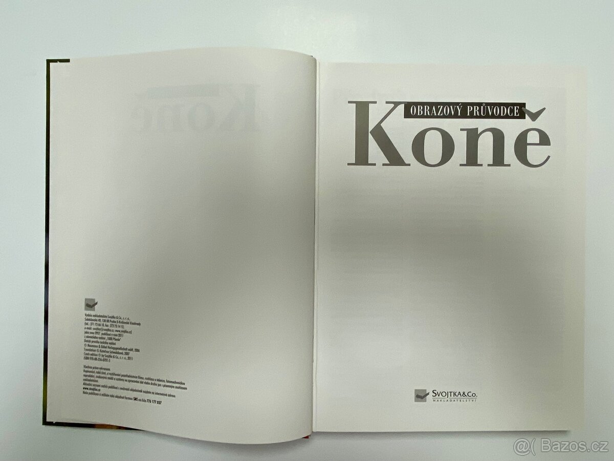 Obrazový průvodce koně - 7