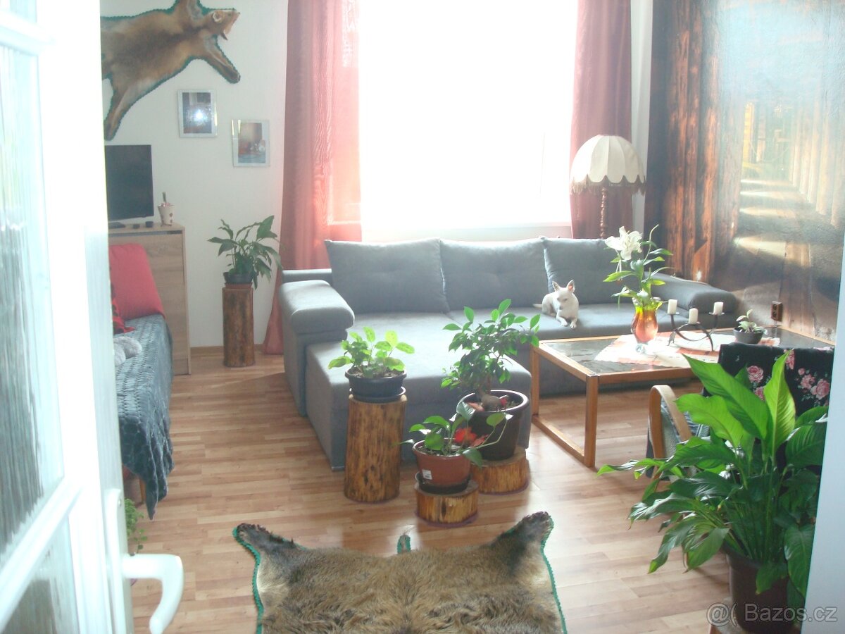 SLEVA Byt s pozemkem za cenu bytu - 7