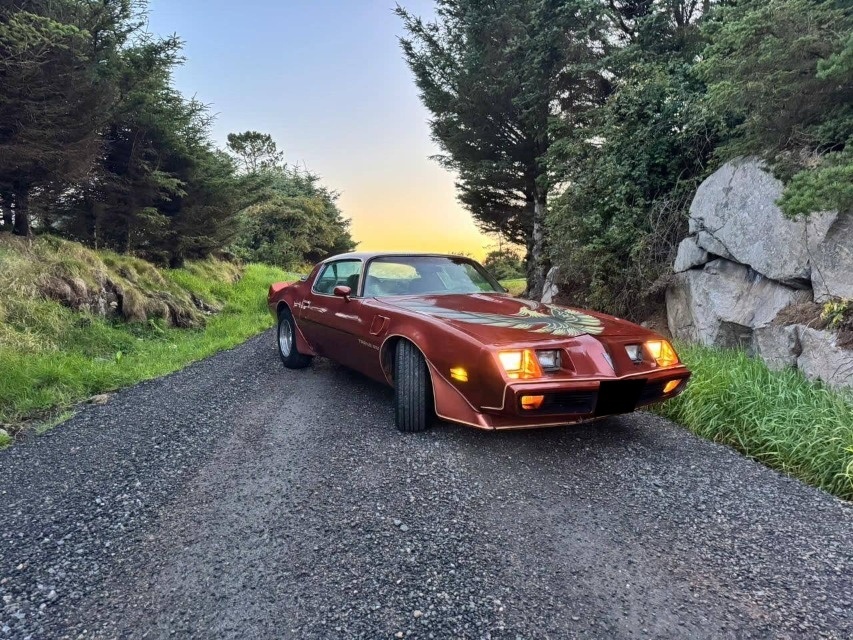 Pontiac Firebird Trans Am z roku 1980 - 7