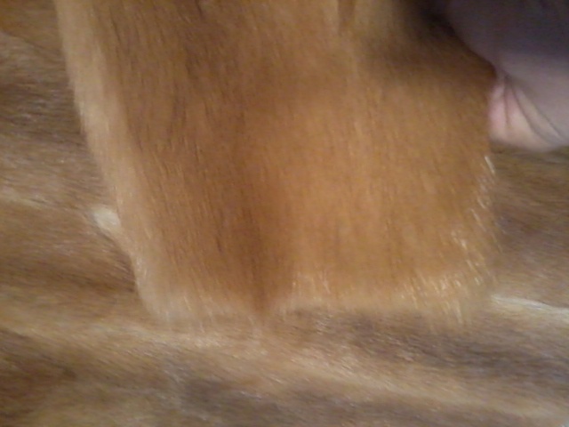 kožíšek norek - 7