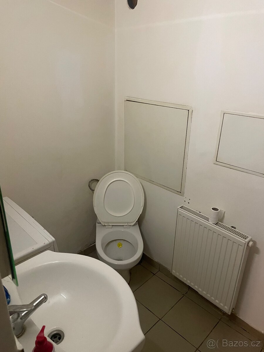 REZERVACE Pronájem bytu Keblice - Lovosice - 7