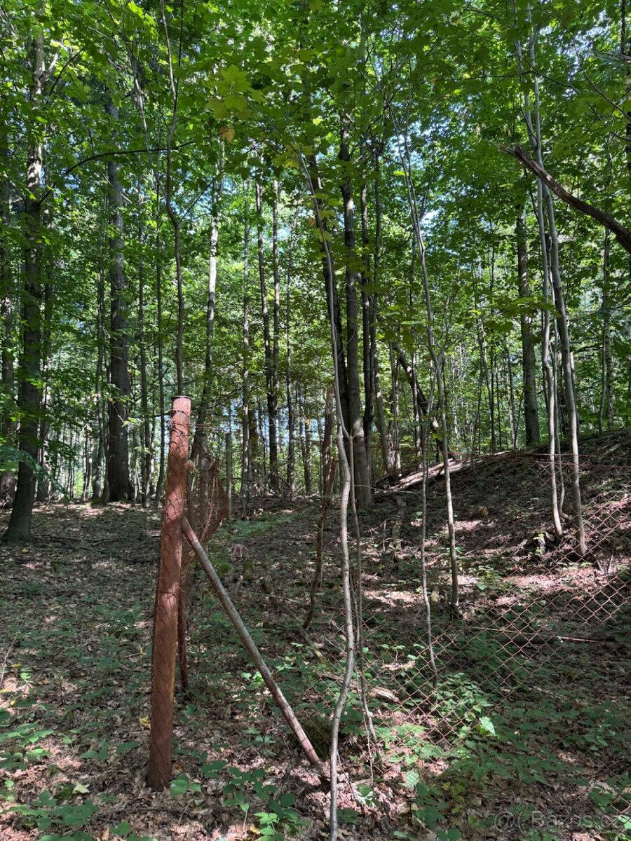 Prodej lesního pozemku v k.ú. Liberk - 7