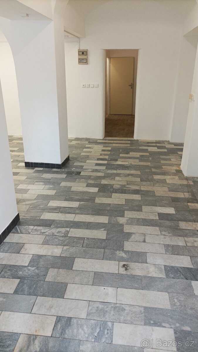 Pronajmu nebytové prostory - 7