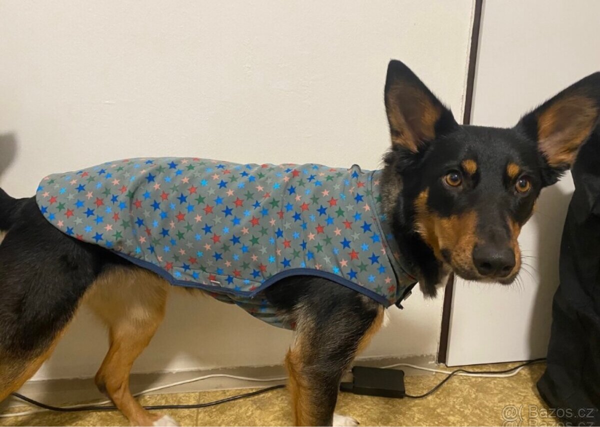 Obleček pro psa - 7