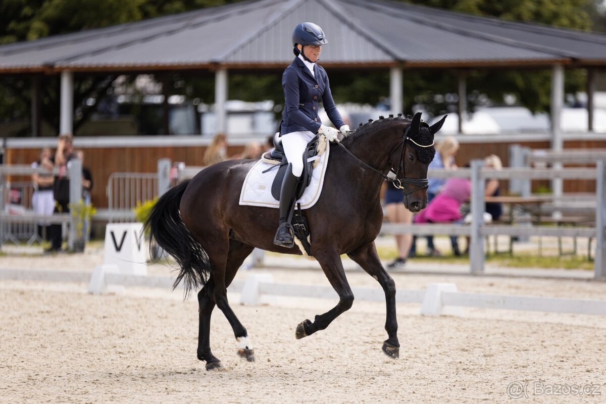 Poradenství v nákupu a prodeji na míru - 7