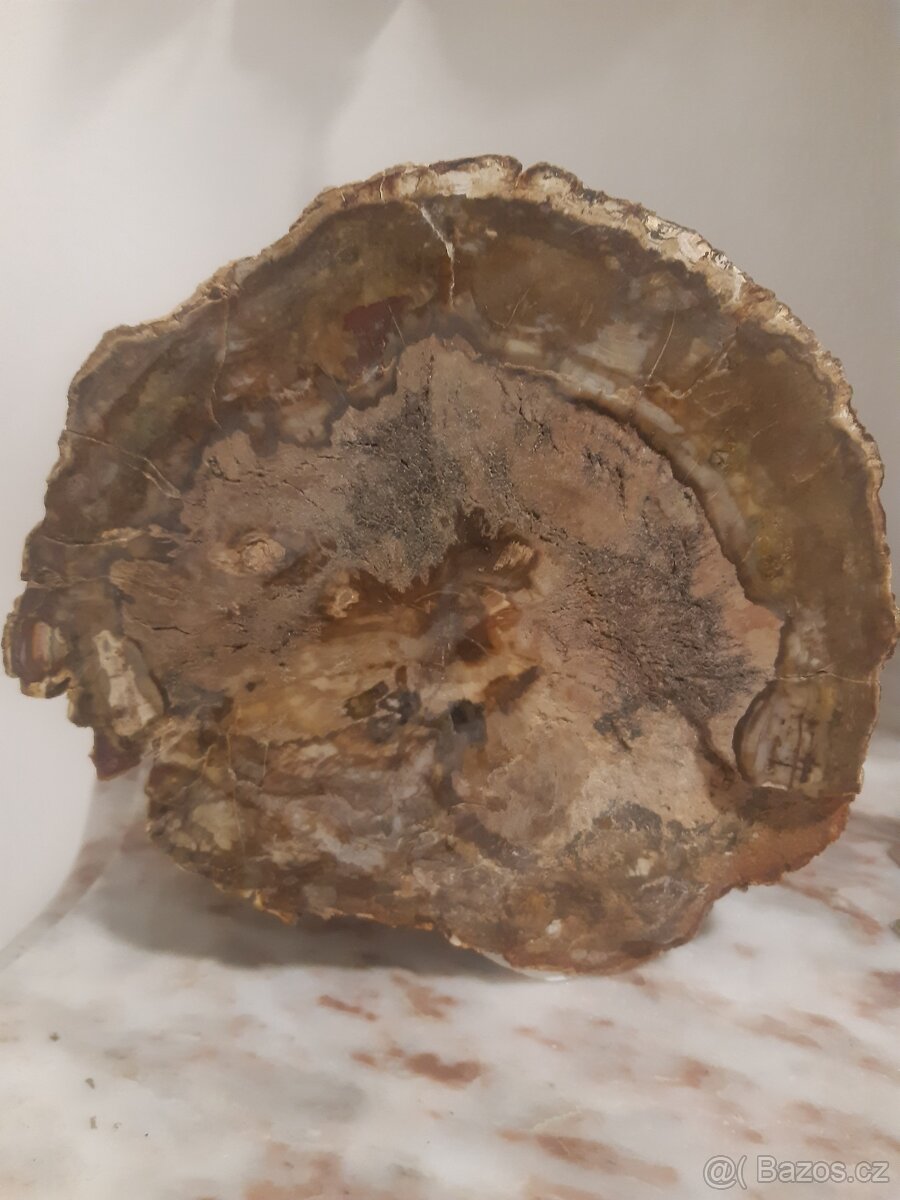 zkamenělé dřevo 7,9 kg - 7