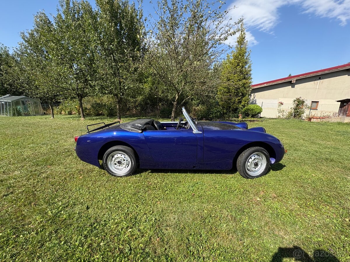 Austin healey froggy - 7