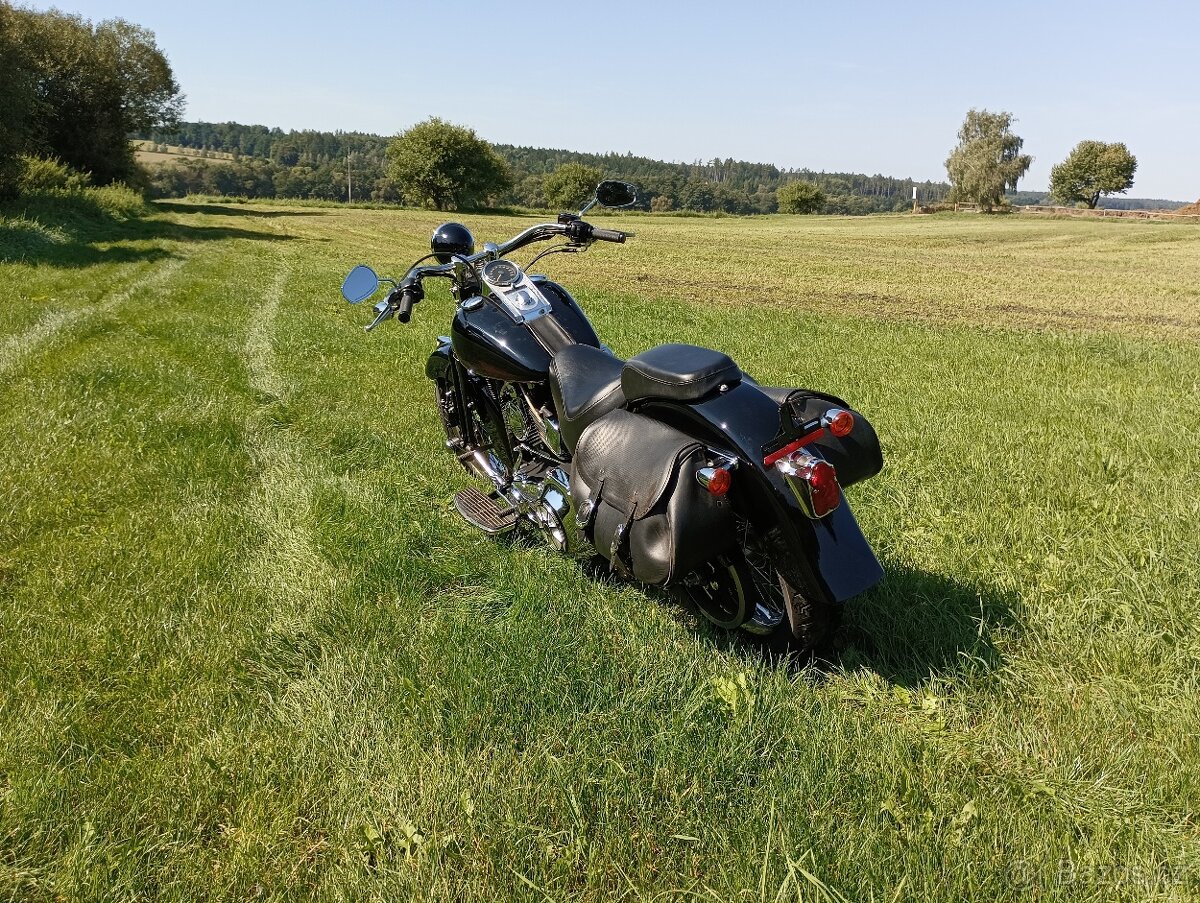 Harley Davidson FLSTS Heritage Springer - 7