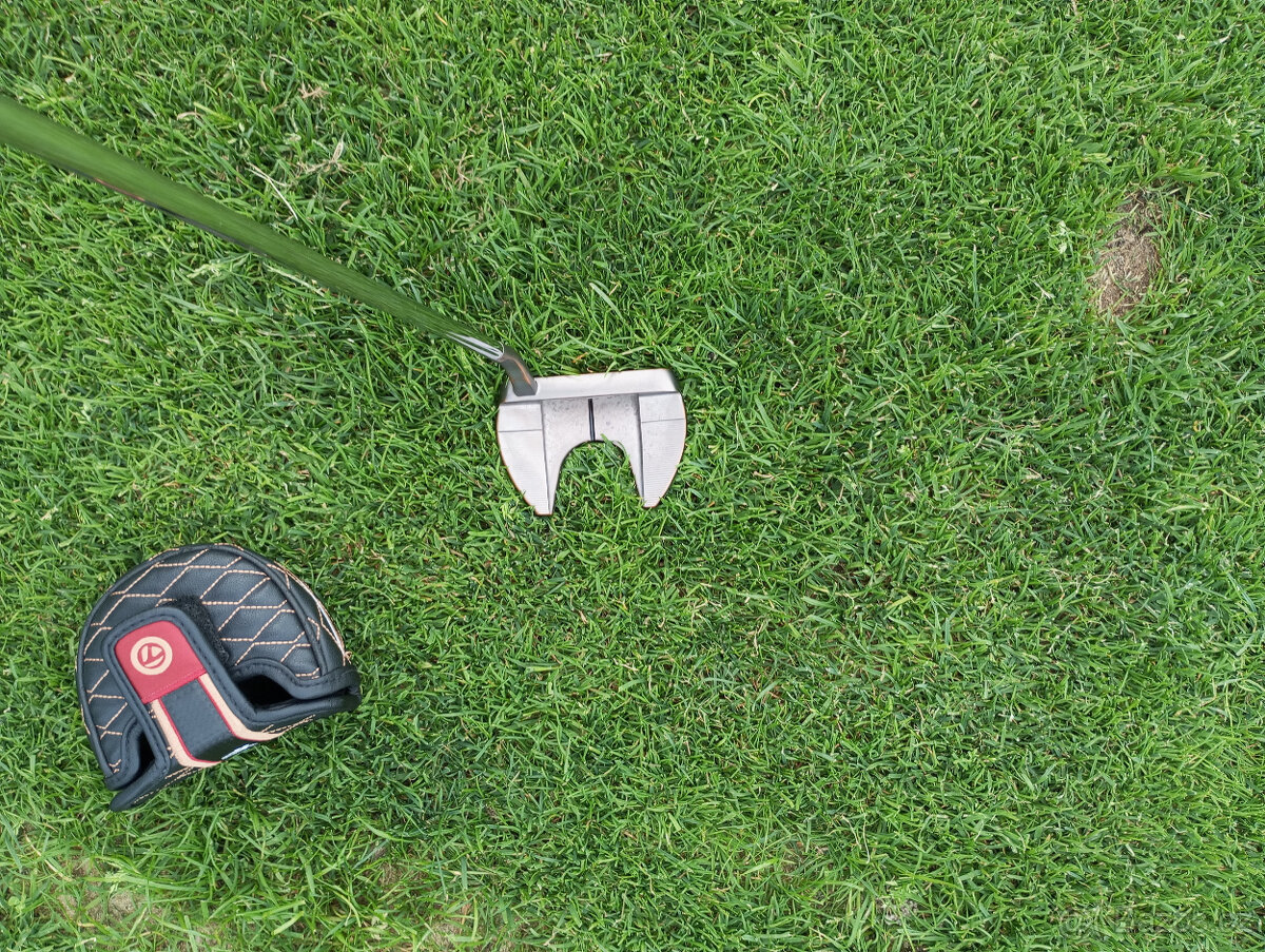 Putter Taylor Made Ardmore 3 TP colletion - 7