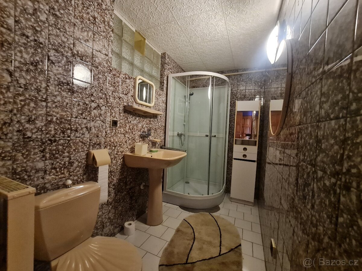 Pronájem bytu 1+kk Zubří - 7