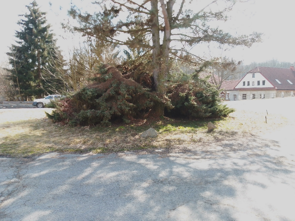 Rodinný dům prodej - 7