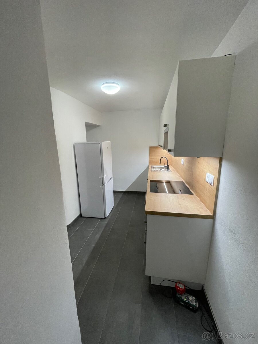 Pronájem - 7