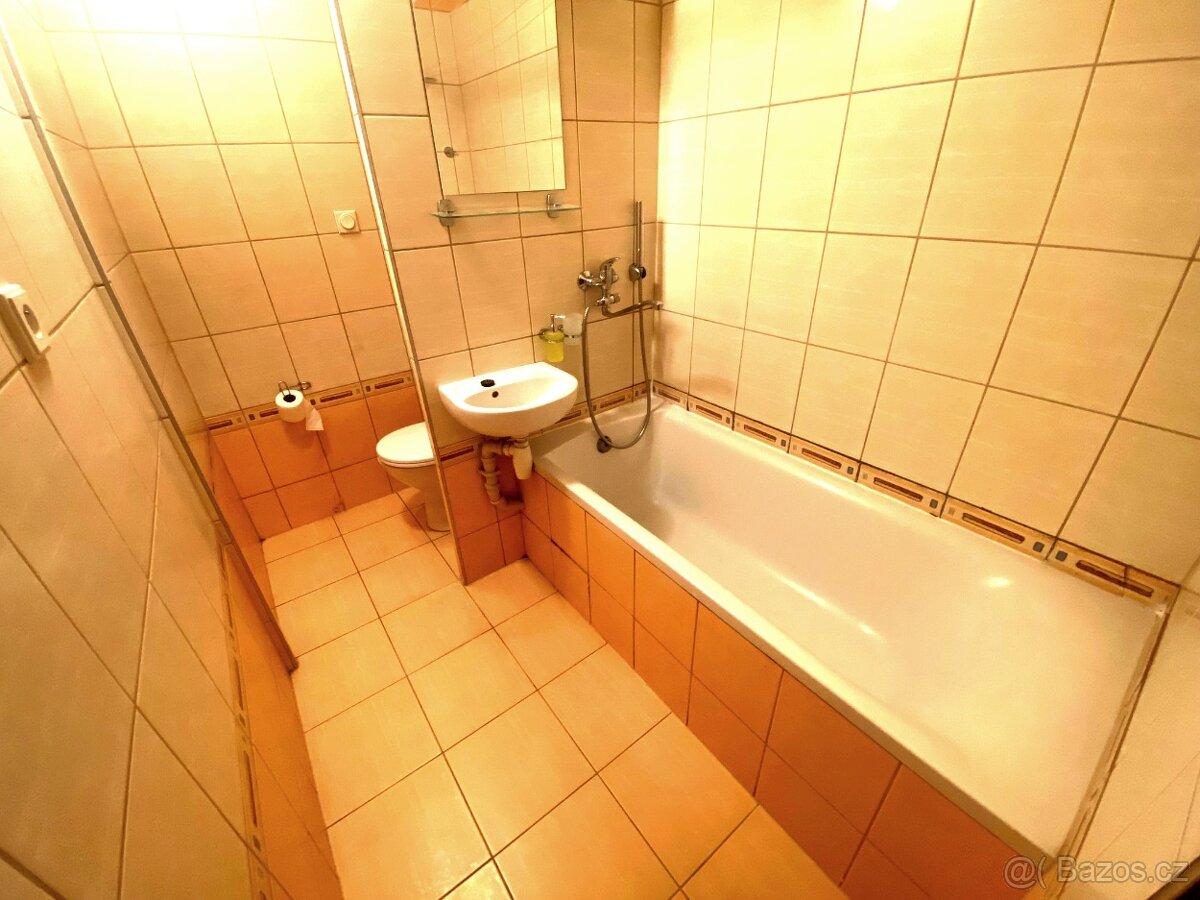Pronájem 1+kk L.Váchy , Zlín - 7